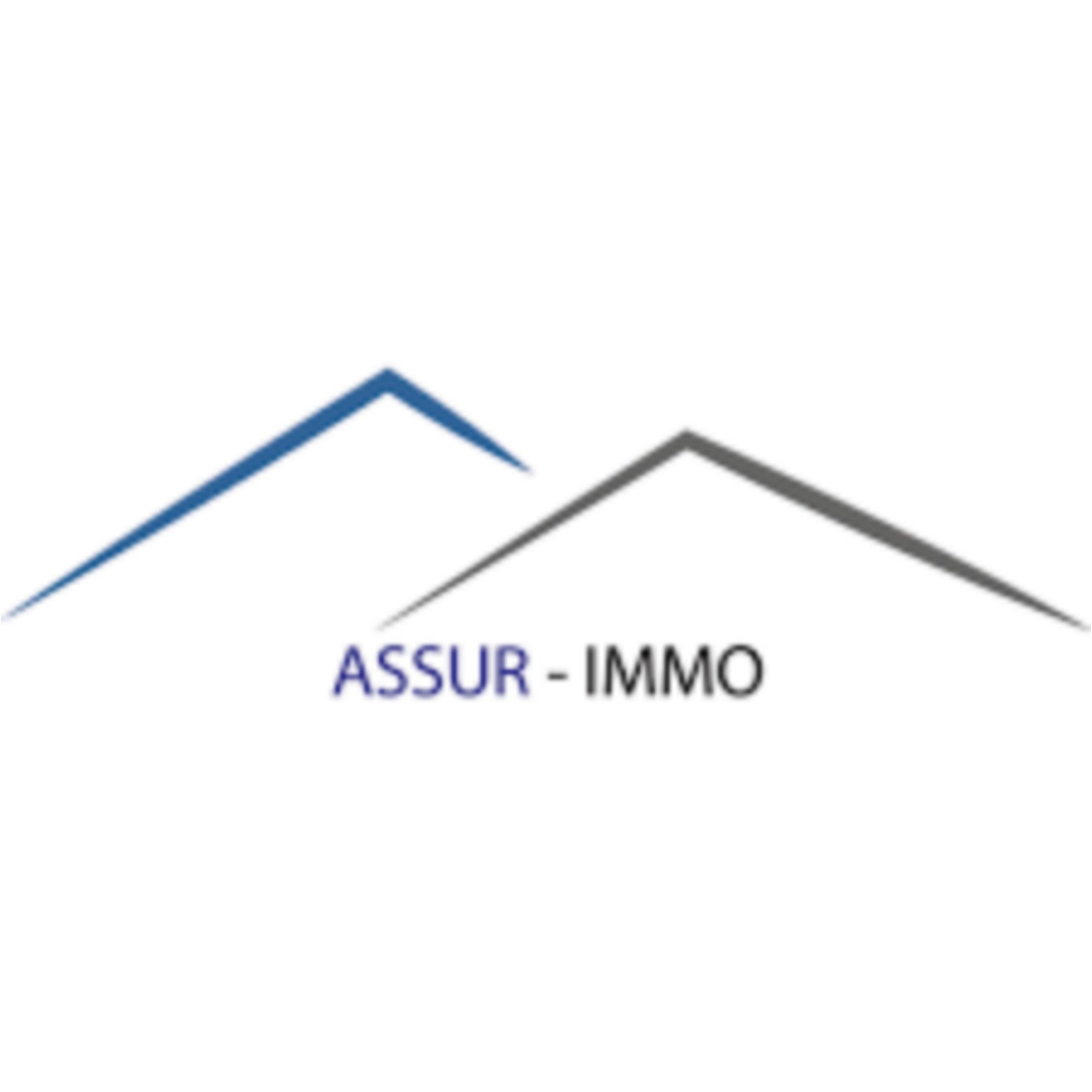 ASSUR - IMO