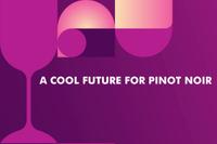 A cool future for Pinot Noir