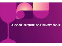 A cool future for Pinot Noir