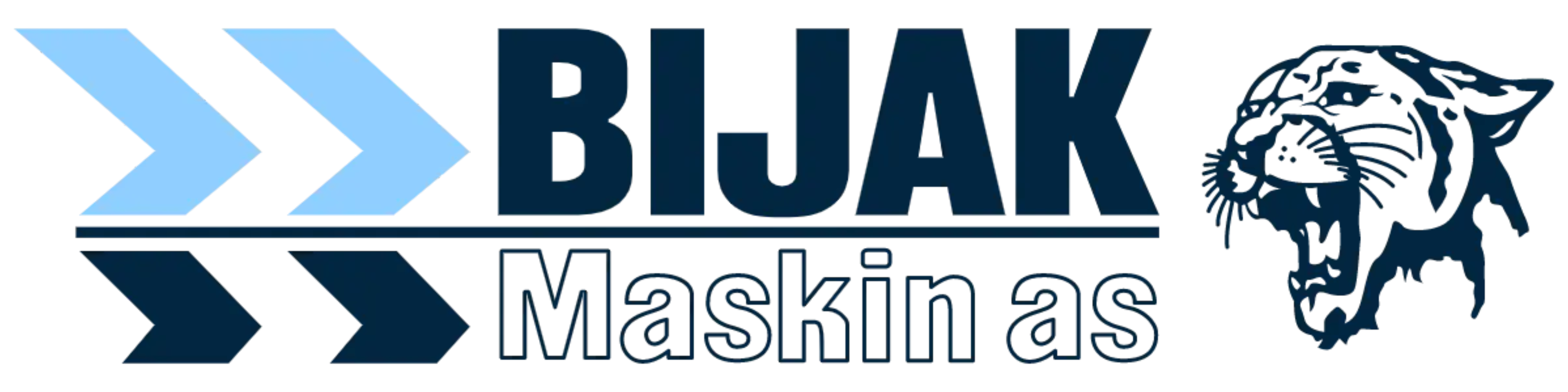 Logo of collaborator: Bijak AS