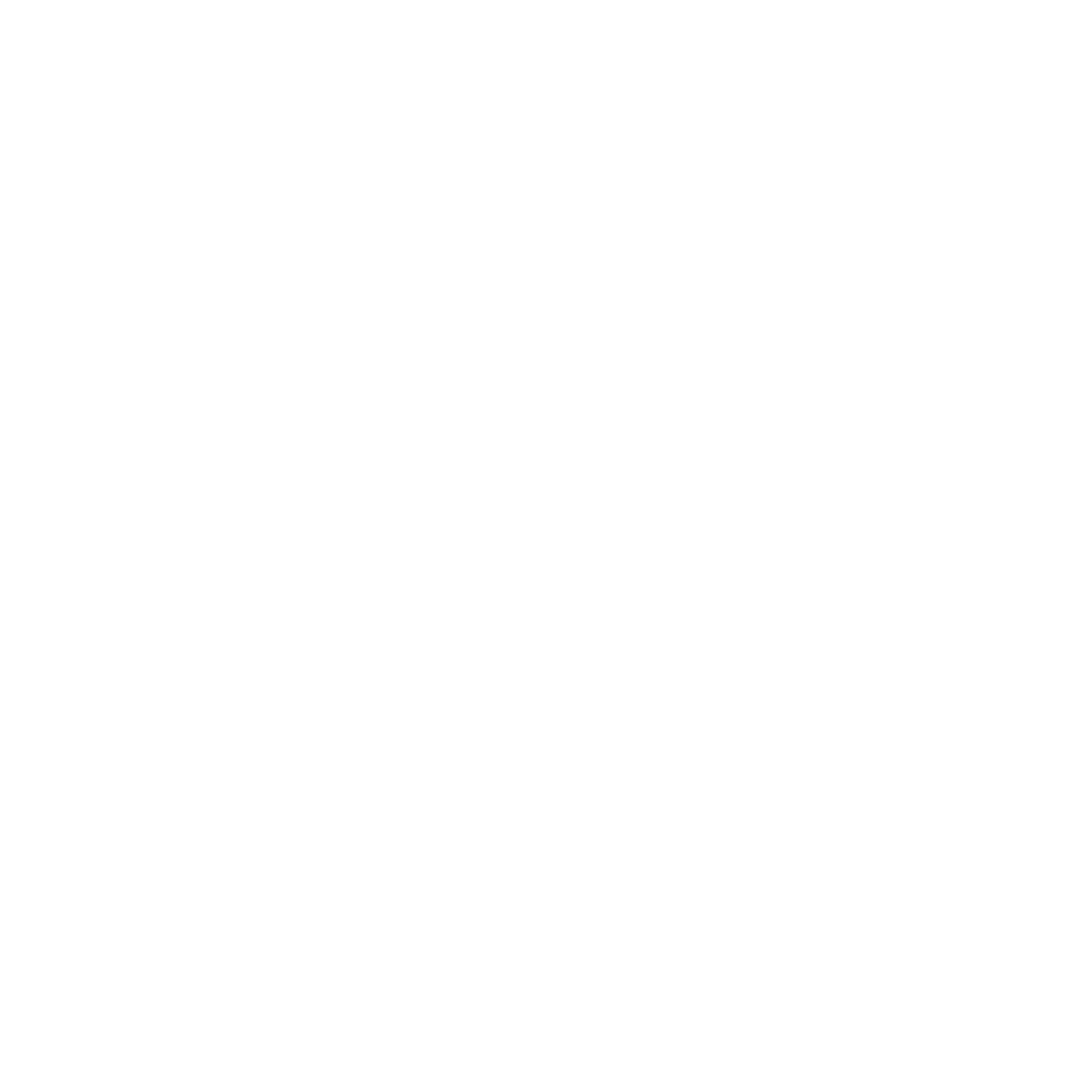 De Vries Van Stokkum logo