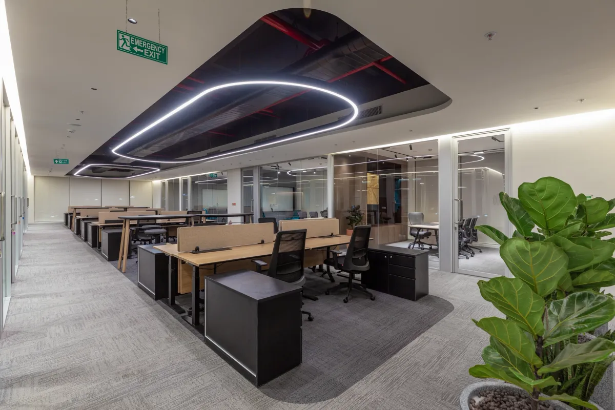 Lily gallery image 7