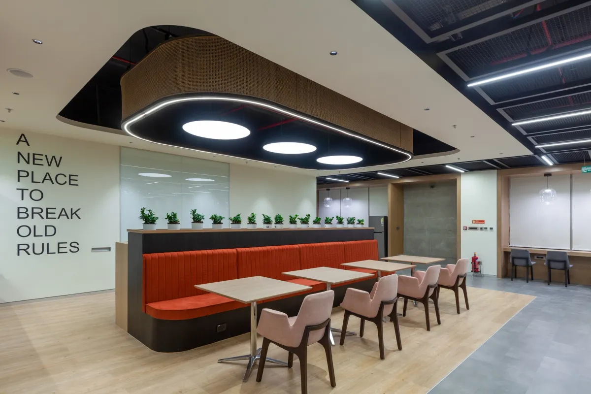 Lily gallery image 5