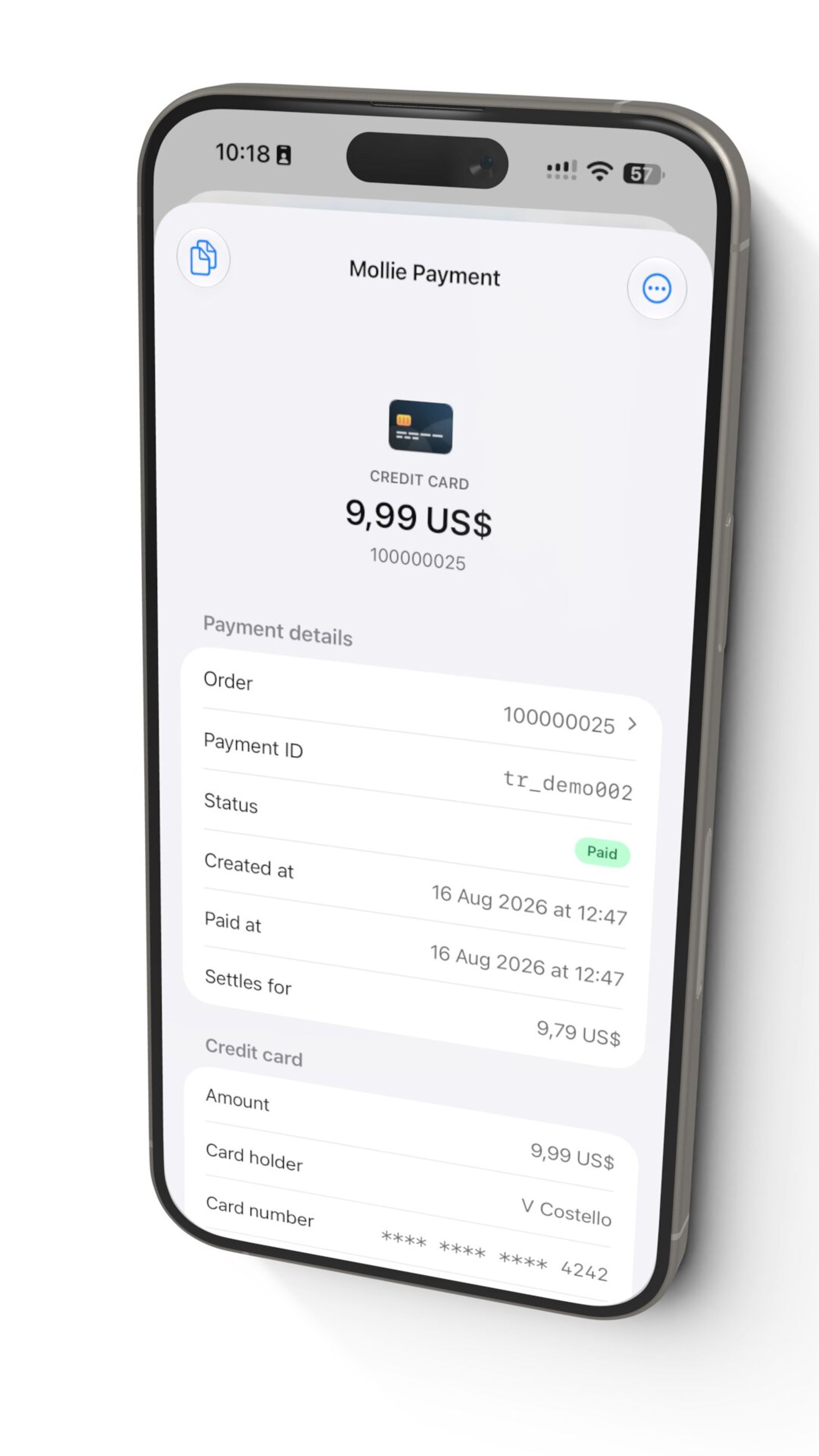 A payment viewed from its order: status, ID, settlement and card detail, with a jump straight back to the order.