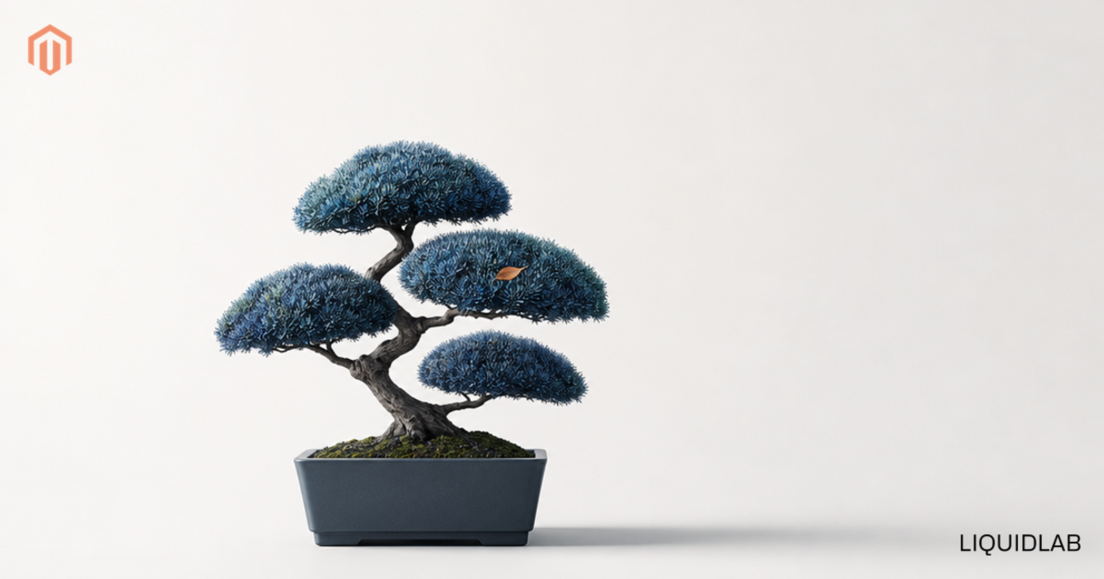 Un bonsai miniatural, tuns cu grijă, într-un ghiveci simplu gri-ardezie pe o suprafață alb-crem, cu frunzișul îngrijit în nuanțe de bleumarin și teal și o singură frunză mică portocalie ca accent, arătând sănătos și bine întreținut, simbolizând un magazin ținut sănătos printr-o mentenanță regulată.