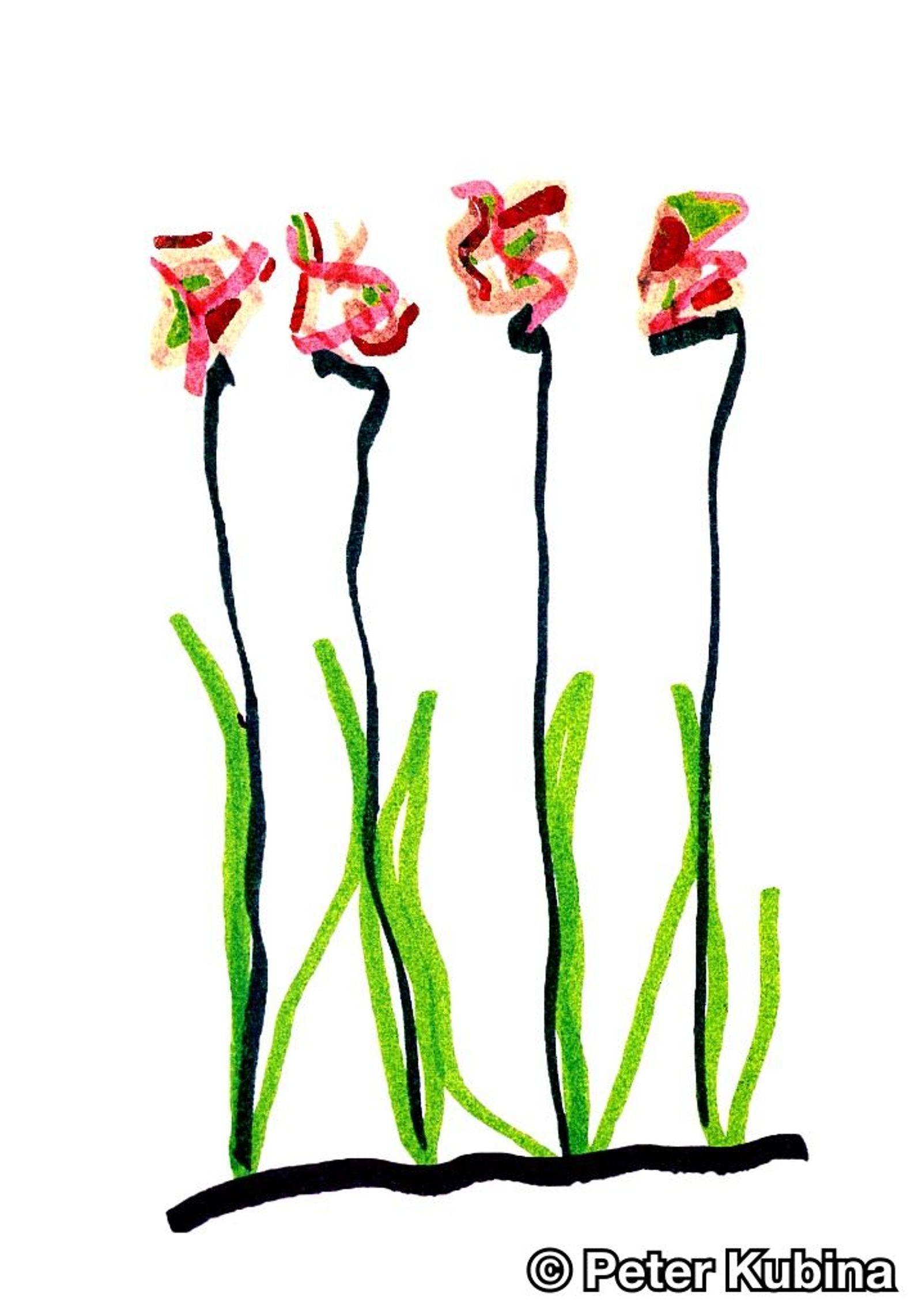 4 Flowers