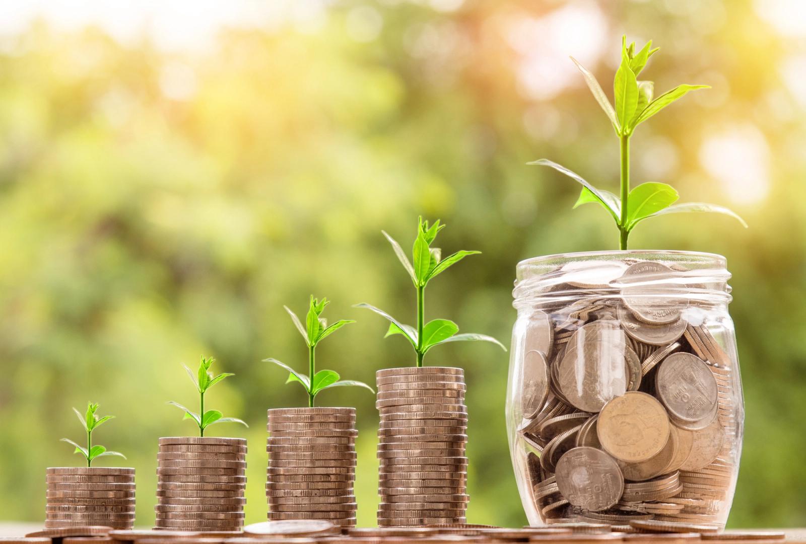 Stacks of coins with plants emerging from them, representing growing your money.