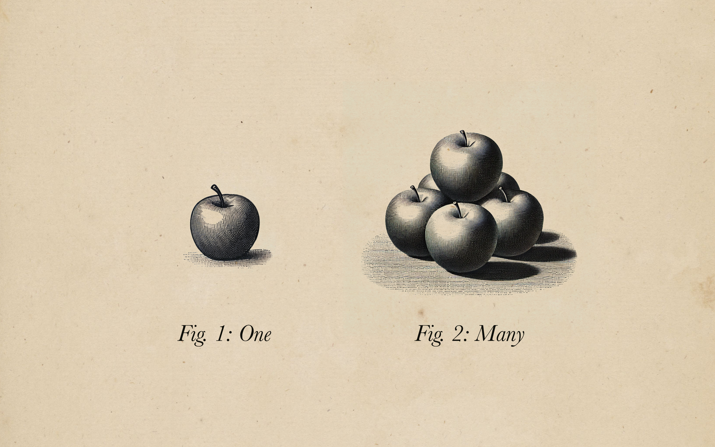 A sketch of a single apple, labeled "Fig. 1: One" next to a sketch of a pile of apples labeled "Fig. 2: Many"