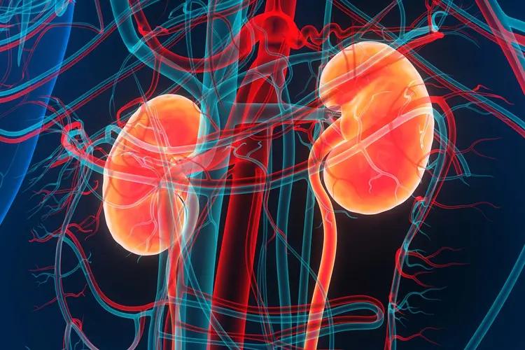 Early Warning Signs Your Kidneys Need Attention
