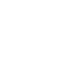 spring startup icon