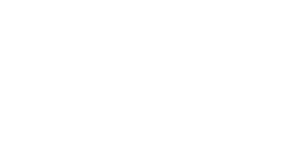 Pacify logo
