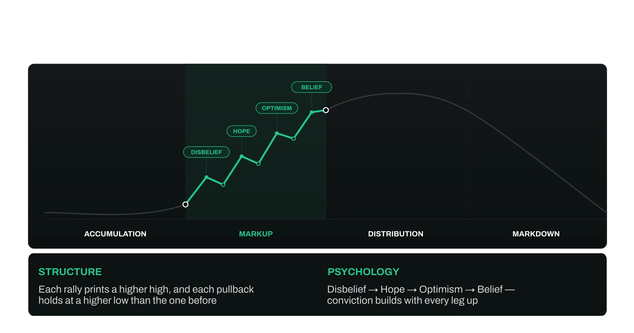  Crypto cycle curve with the markup segment highlighted in green, showing the stair-step pattern of higher highs and higher lows. Small emotion labels appear along the curve: Disbelief → Hope → Optimism → Belief. EchoTrade branded.