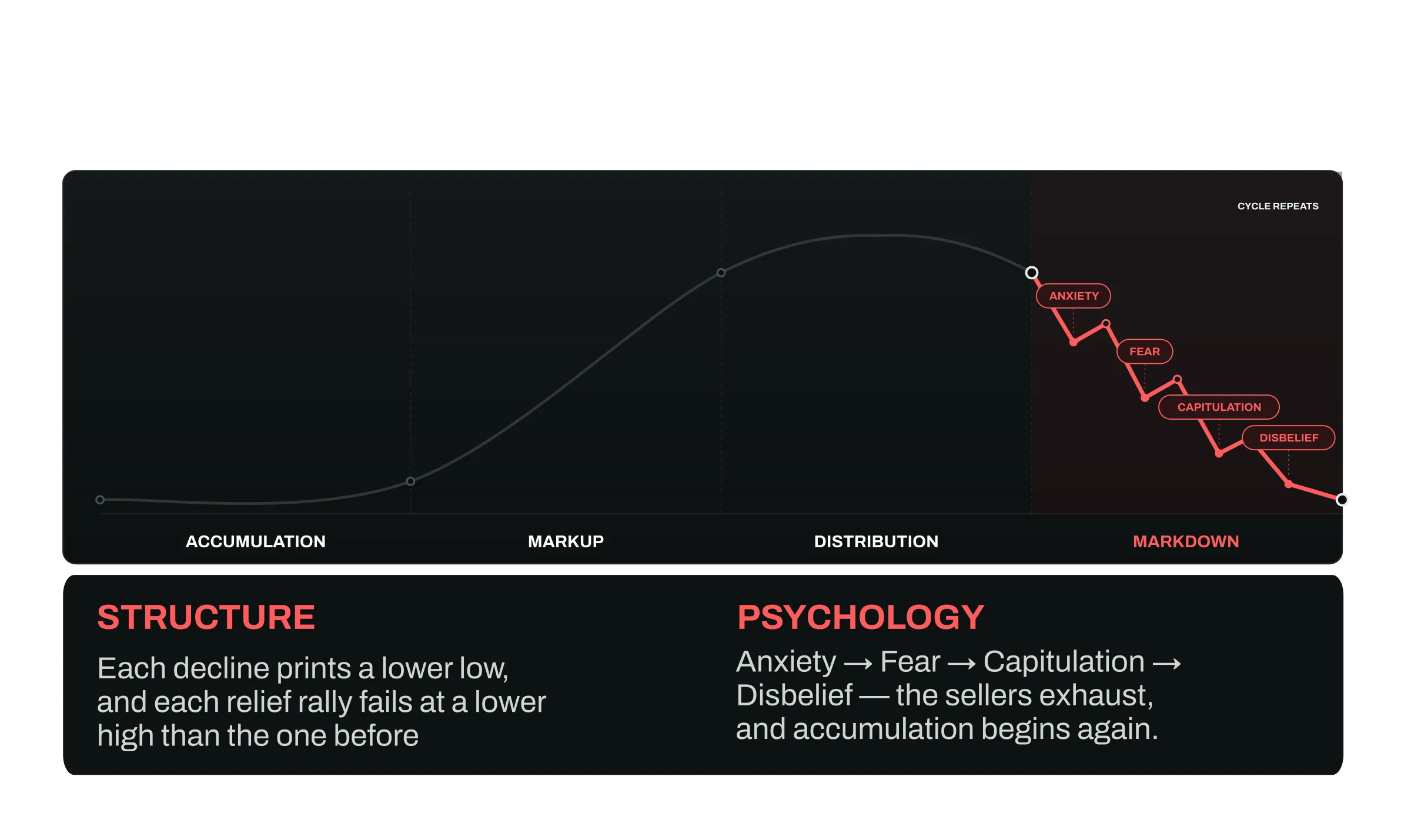 The Crypto cycle curve with the markdown segment highlighted in red, flowing back down and then flattening out into the start of a new accumulation phase. Emotion labels on the descent: Anxiety → Fear → Capitulation → Disbelief. EchoTrade branded.