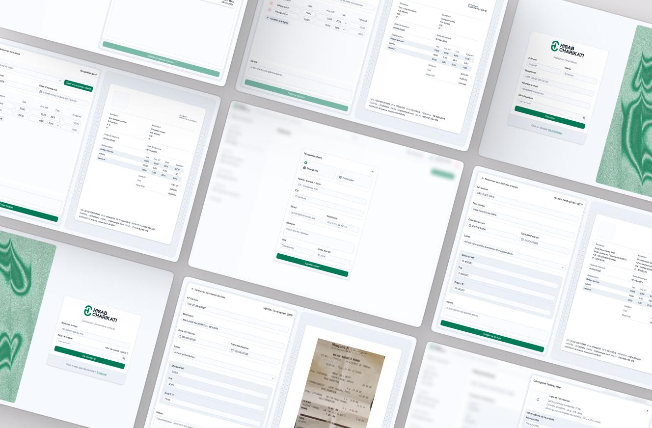 Hisabcharikati web interface for reviewing company accounting information.