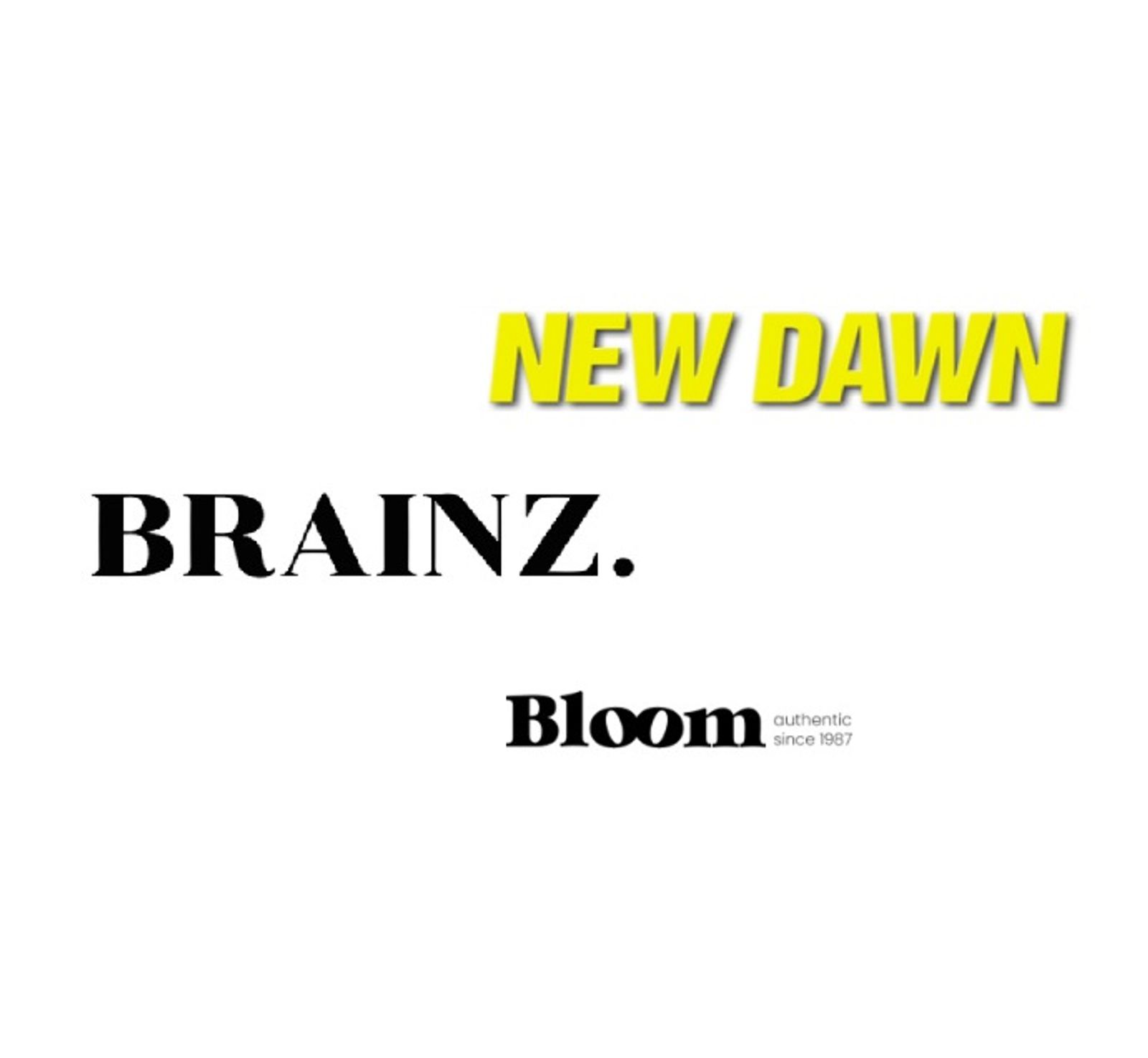 Logos of Brainz Magazine, New Dawn Magazine and Bloom Magazine featuring published reincarnation research articles