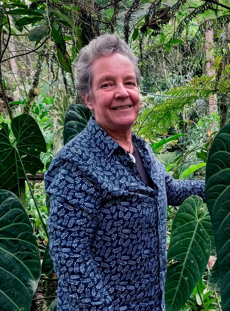 Norita Londoño