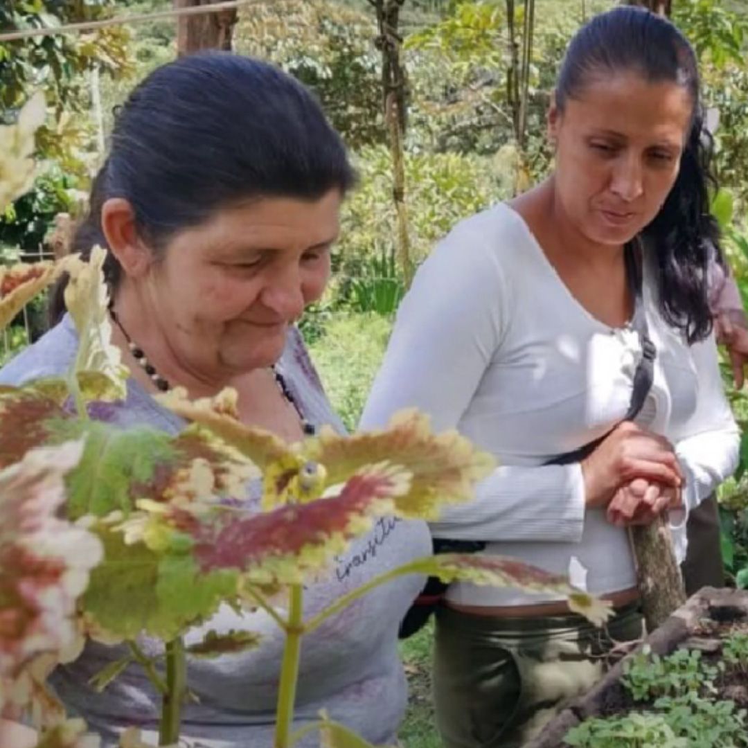Diálogo saberes del bosque