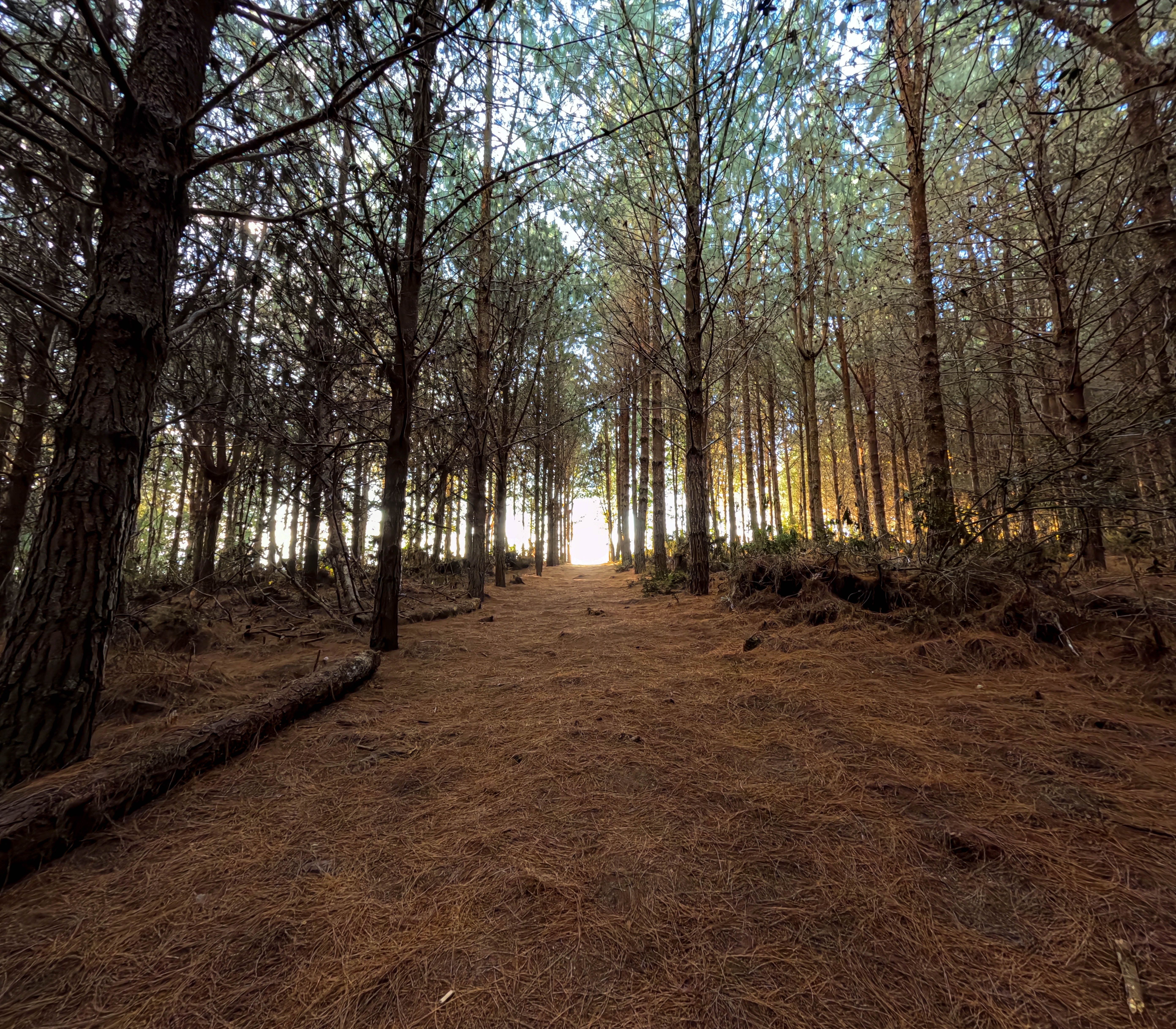 image-baa759bce51b9f080d17ed92ecc910b76e1096a9-5568x4872-jpg