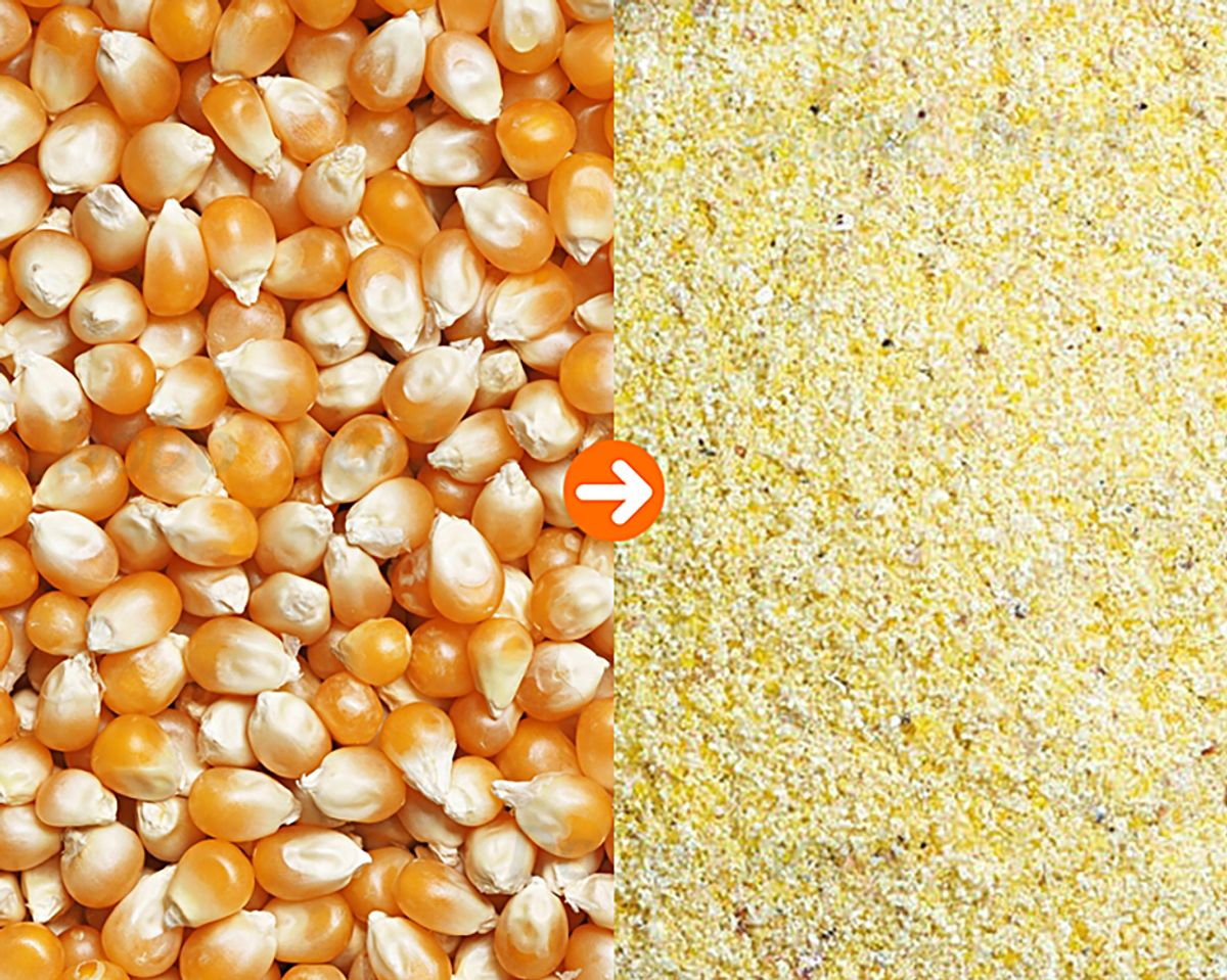 DoDoShark/Cast Iron Tooth-Claw Grinder/Corn@3 mm screen