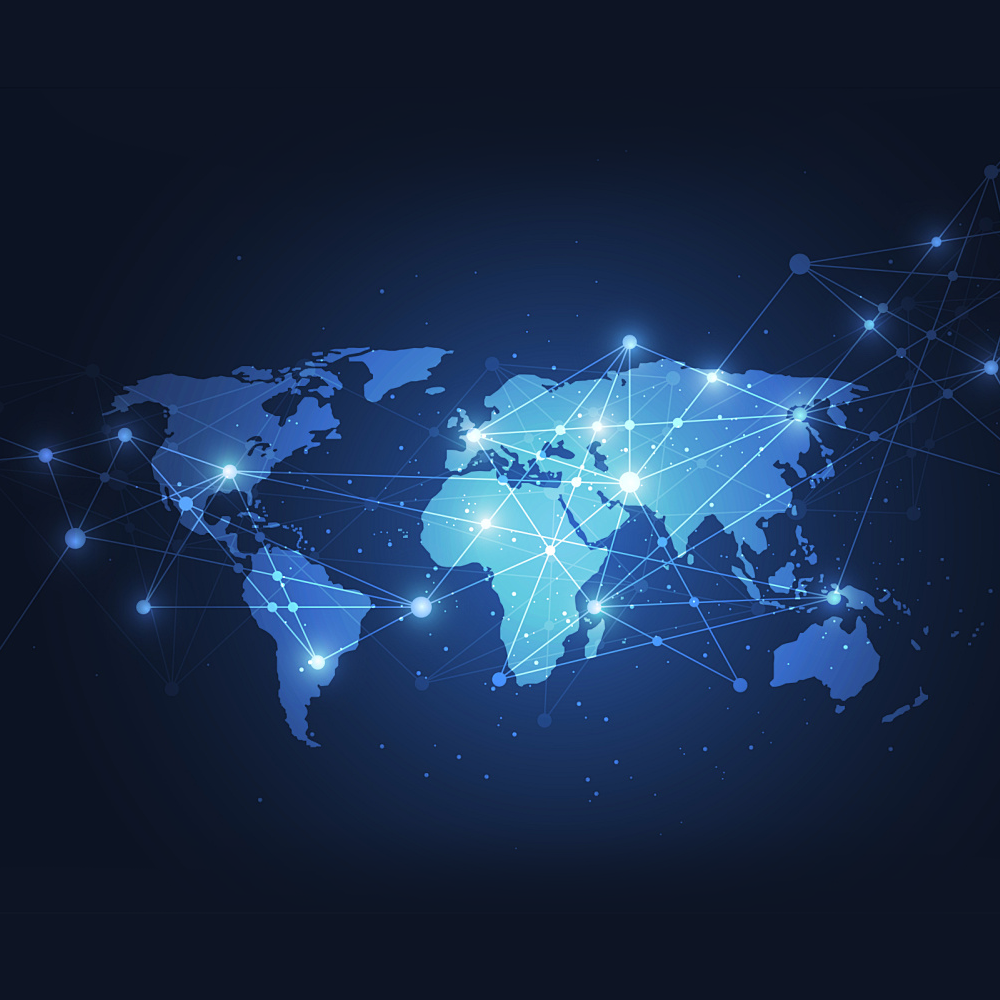 DoDoShark Global Layout