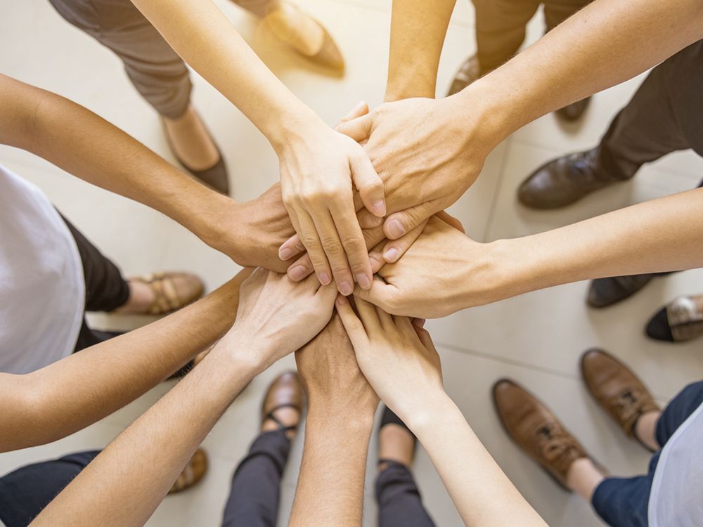 DoDoShark Global Partnership