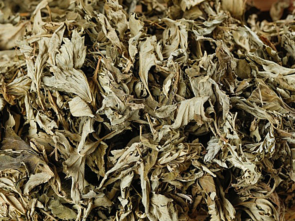 DoDoShark/Small SUS304 Grinder /Fibrous Materials