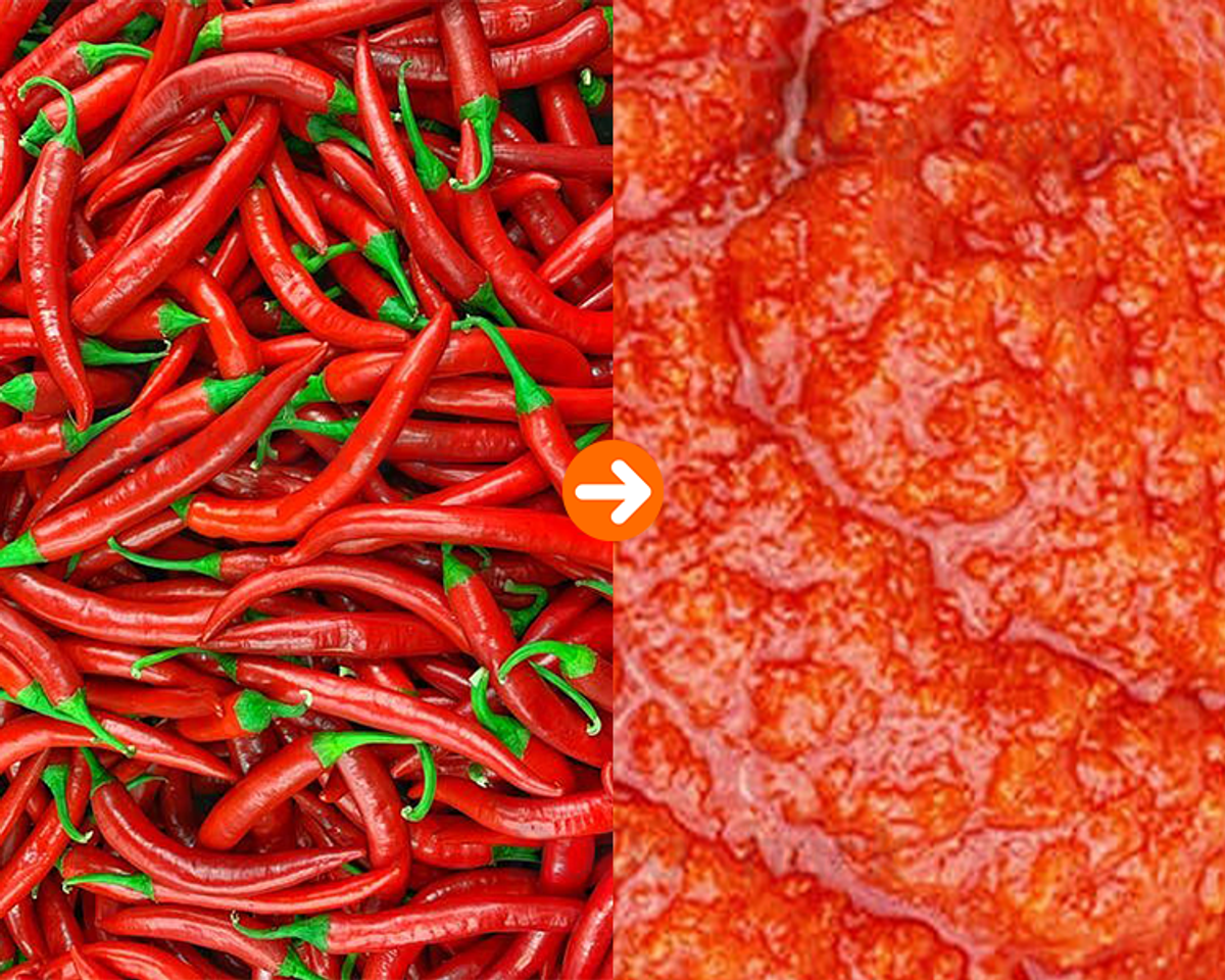 DoDoShark/SUS304 Tooth-Claw Grinder Bottom-Box Type /Fresh Chili Peppers/Chili Sauce