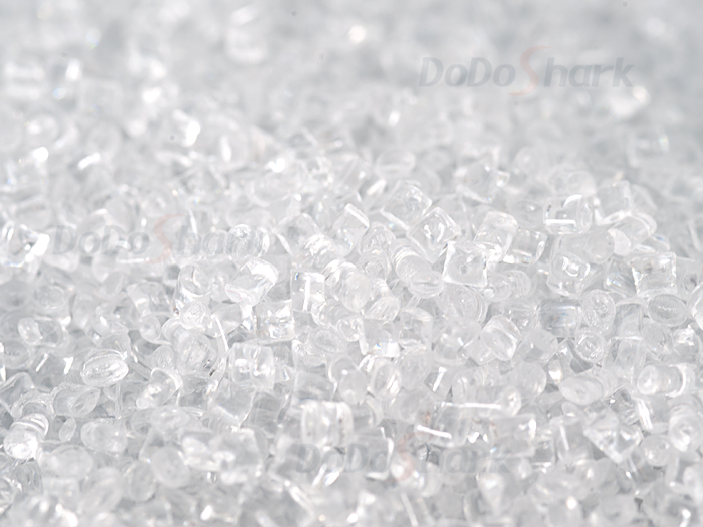 DoDoShark/SUS304 Tooth-Claw Grinder Bottom-Box Type /Corrosive Materials