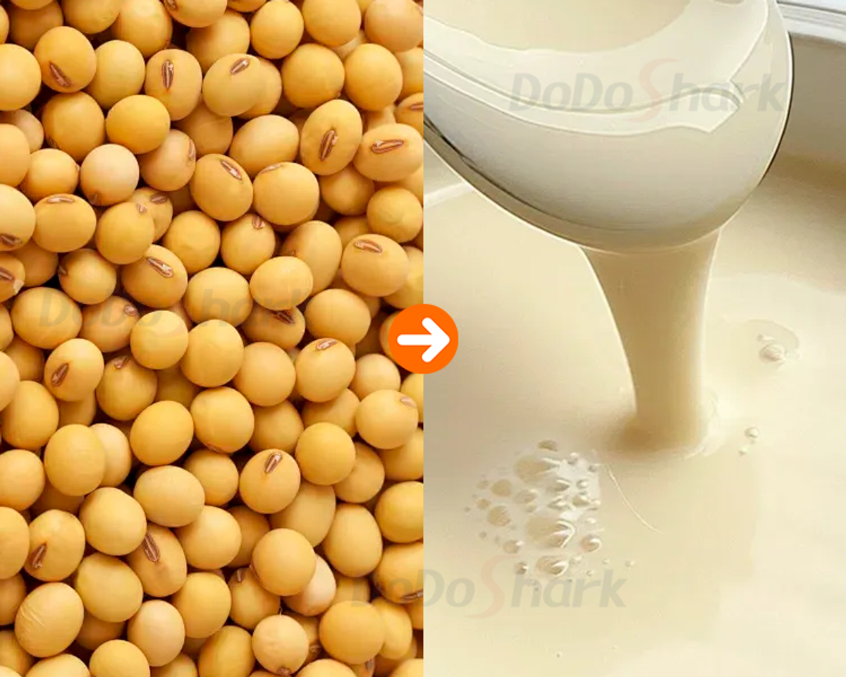 DoDoShark/SUS304 Tooth-Claw Grinder Bottom-Box Type /Soybeans (Raw Material)/Soybean Milk