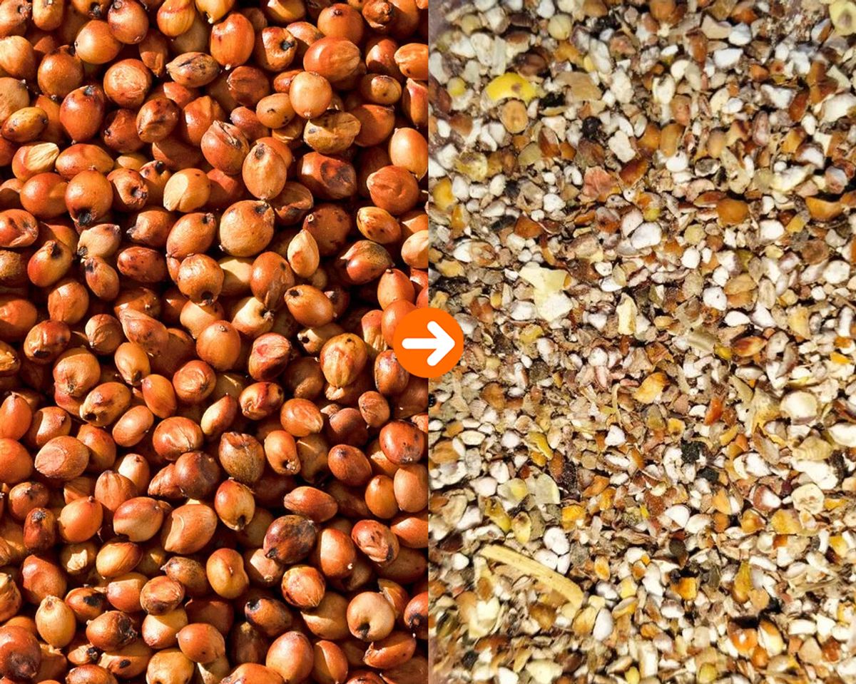 DoDoShark/Agricultural Double Roller Crusher/Crushed Sorghum