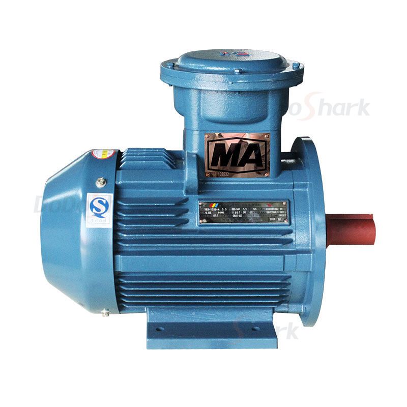 Explosion-proof Motor