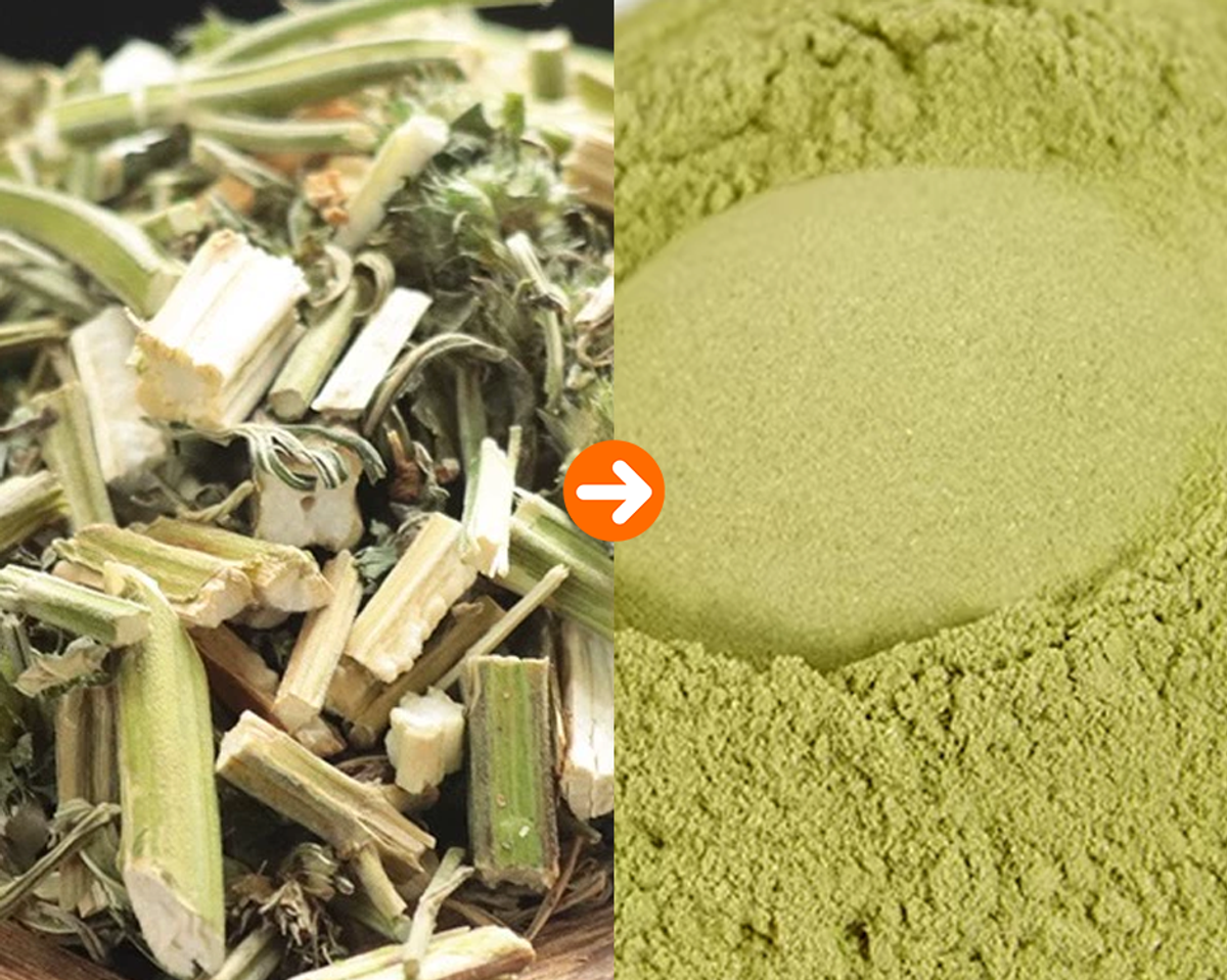 DoDoShark/Small SUS304 Grinder /Leonurus