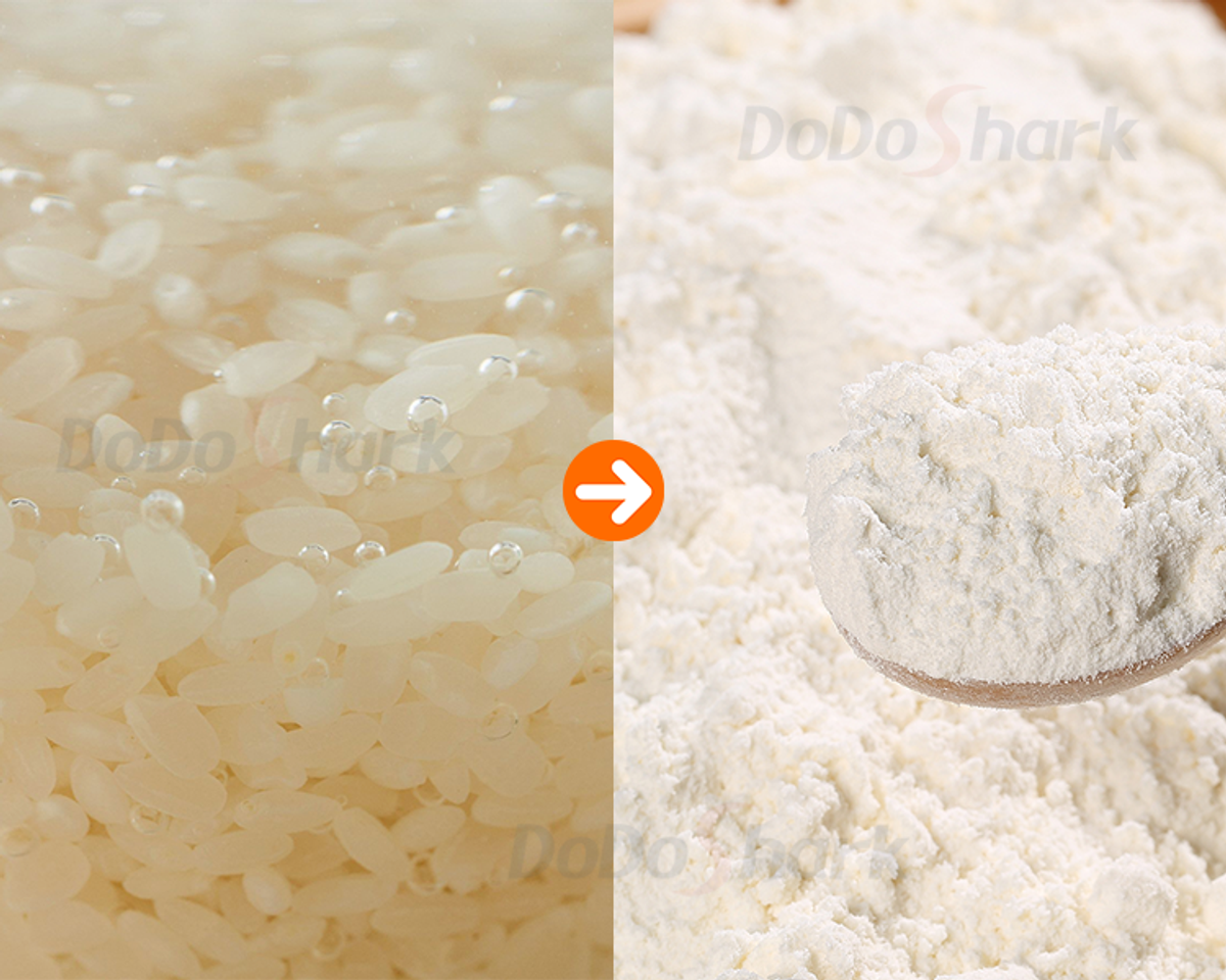 DoDoShark/SUS304 Tooth-Claw Grinder Bottom-Box Type /Soaked Rice/Rice Flour