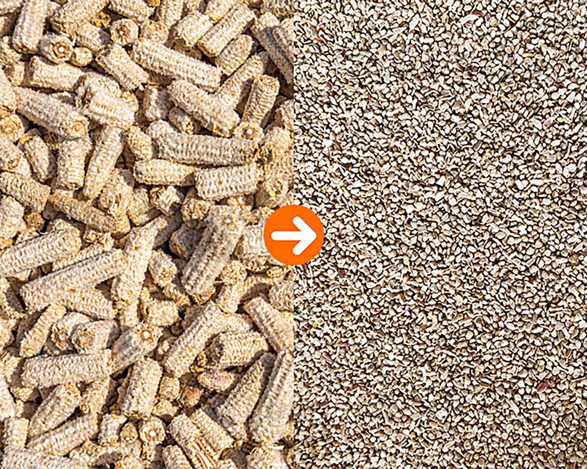 DoDoShark/Cast Iron Hammer Mill Grinder/Corn Cobs/Crushed Pieces