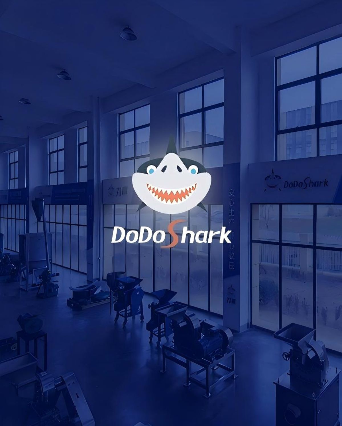 DoDoShark Showroom