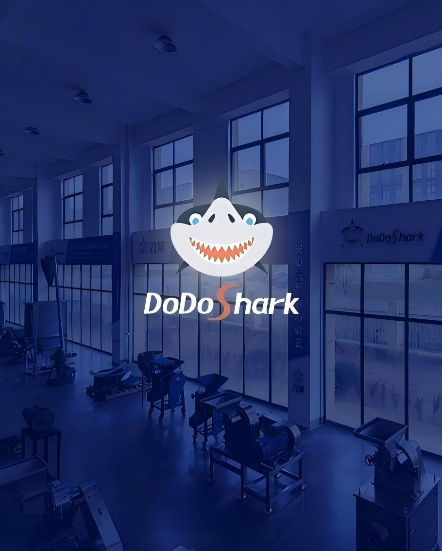 DoDoShark Showroom