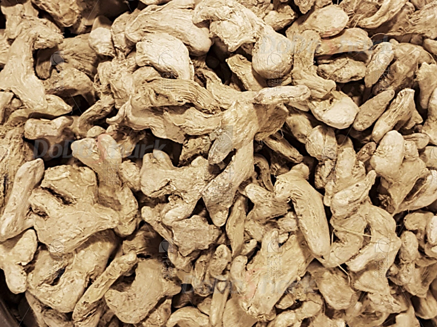 DoDoShark/Small SUS304 Grinder / Traditional Chinese medicinal herbs