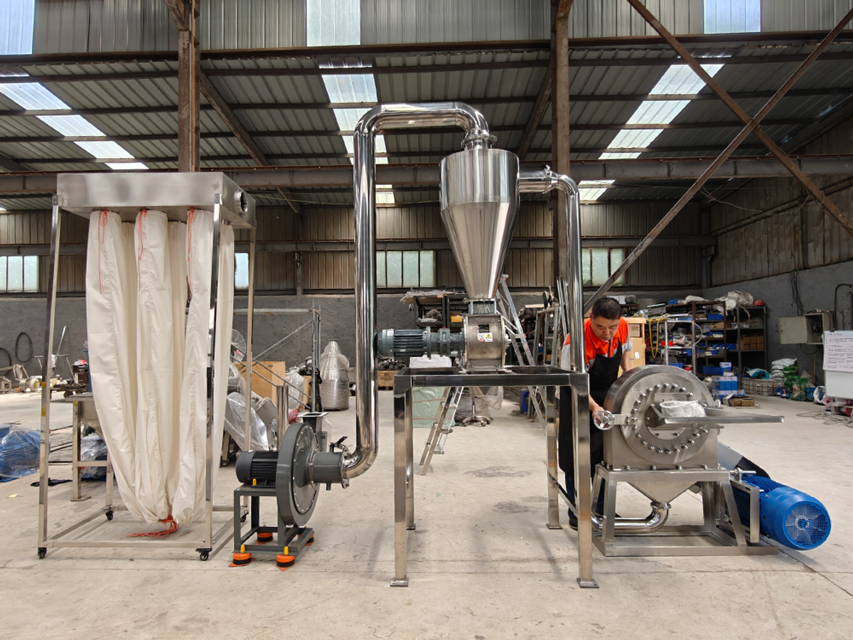 DoDoShark Technical Leadership