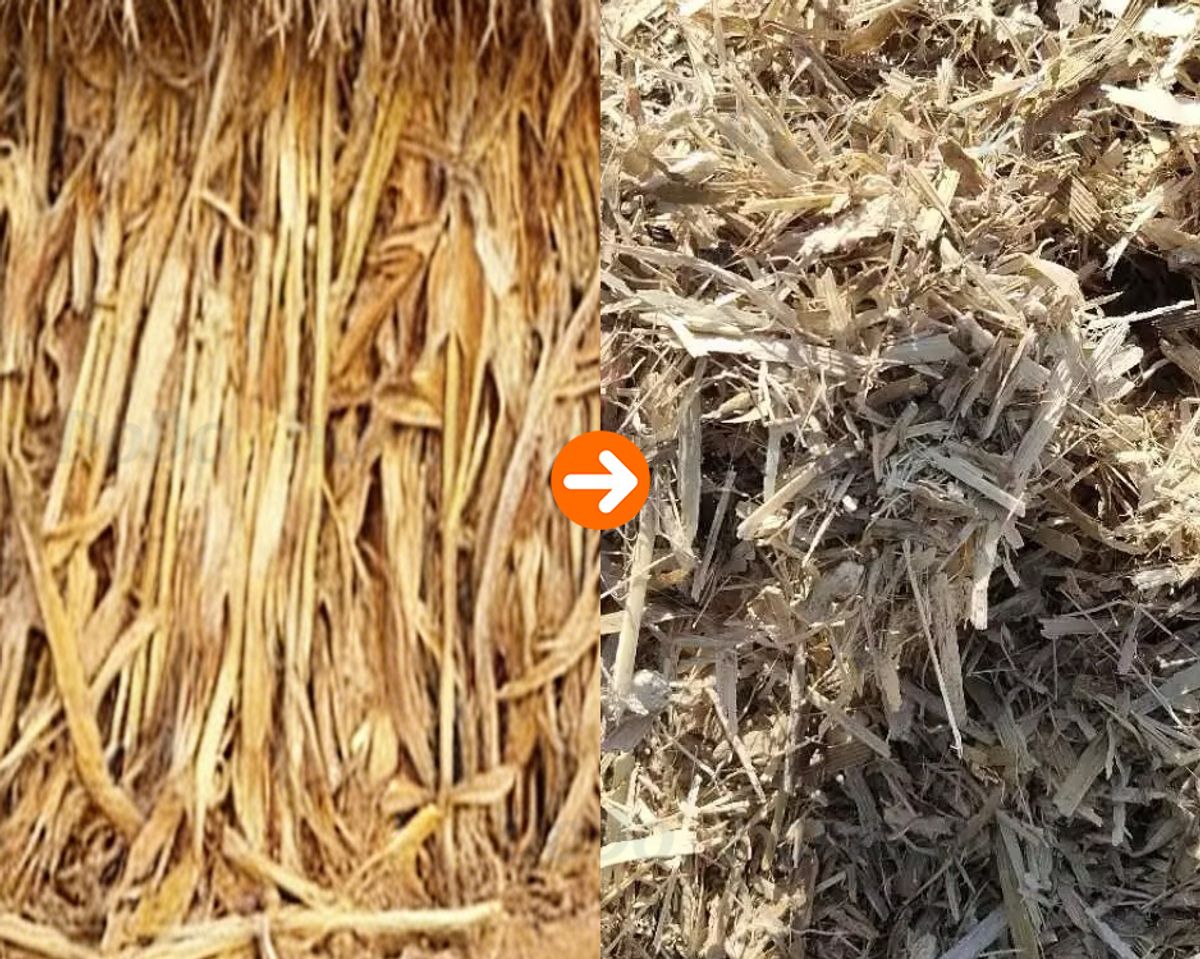 DoDoShark/Cast Iron Hammer Mill Grinder/Corn Stalks/Fragment