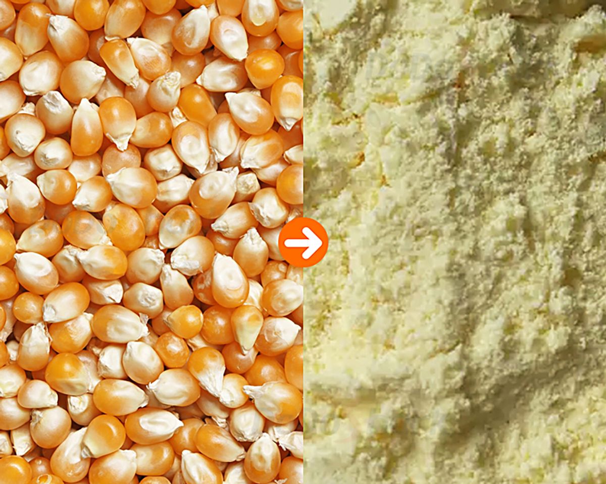 DoDoShark/Cast Iron Tooth-Claw Grinder/Corn@0.4mm mesh