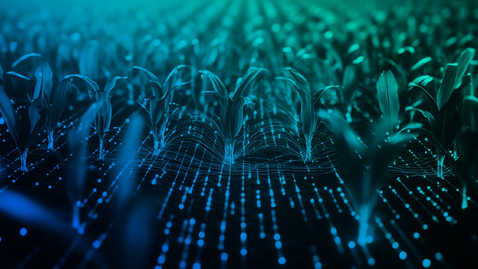 Graphic image of data and nature