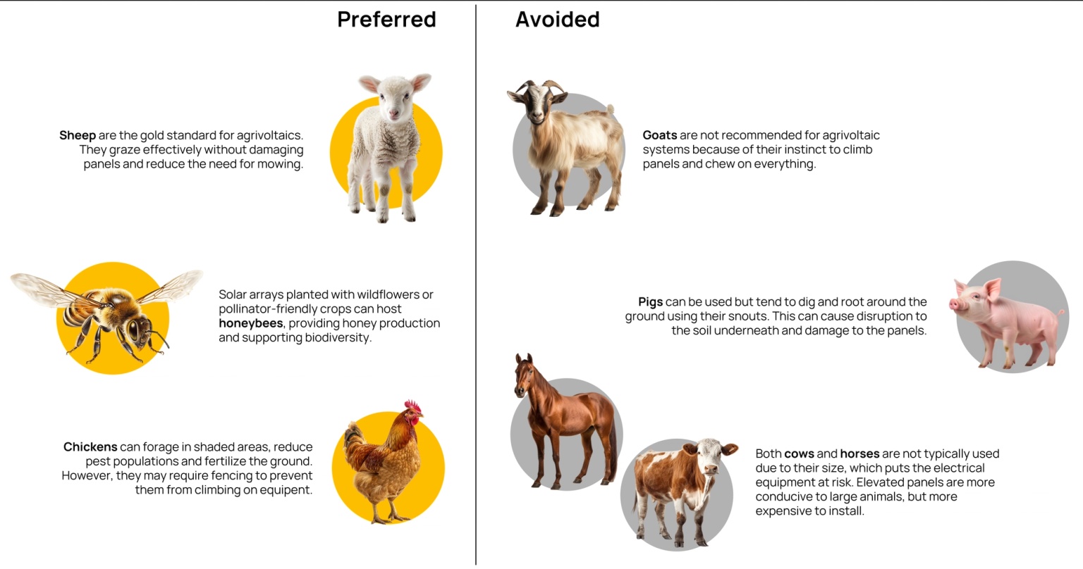 Source: College of Agricultural Sciences, Penn State University, Vecteezy (Images)