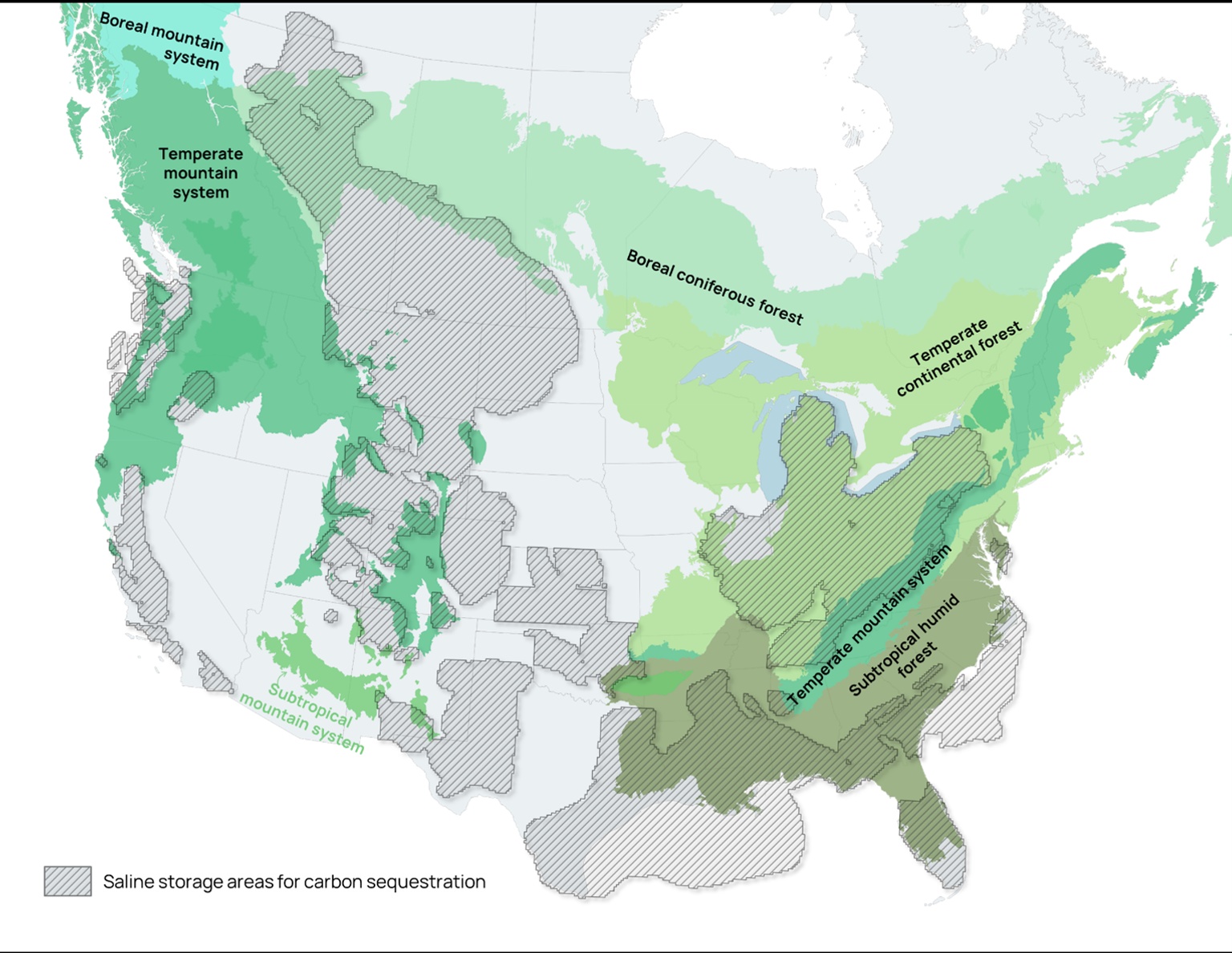 Source: Orennia, North American Forest Commission