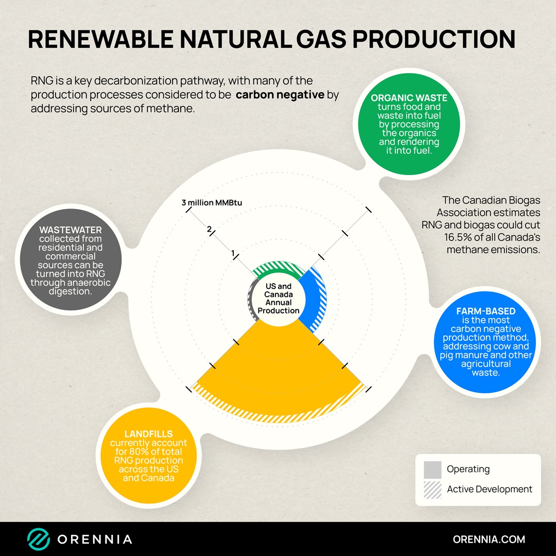 A graphic showing the production process of renewable natural gas