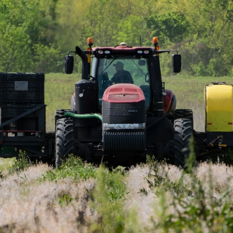 Image of Texas farmer planting soybean seeds