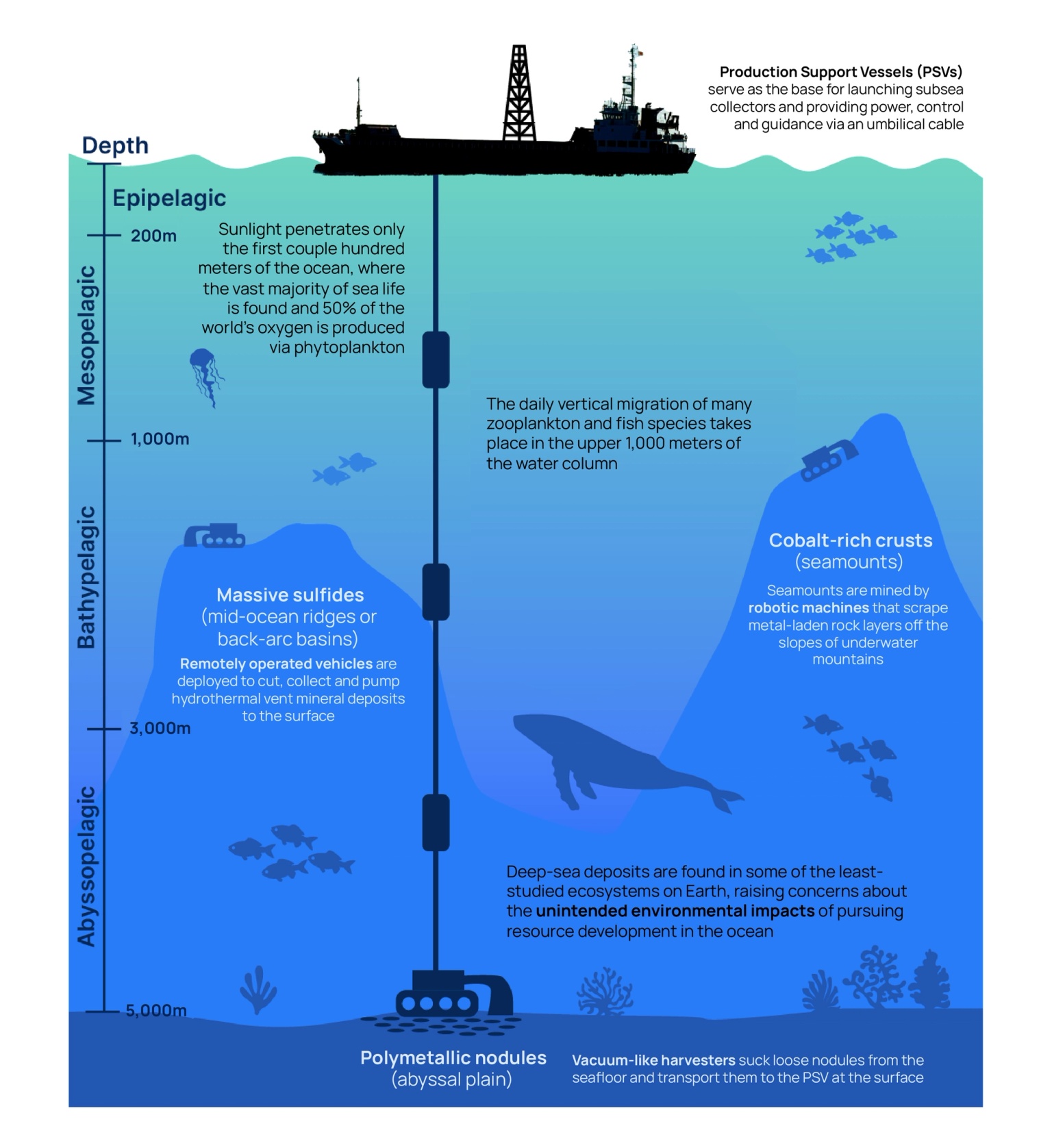 An infographic showing what underwater mining looks like via an umbilical cable