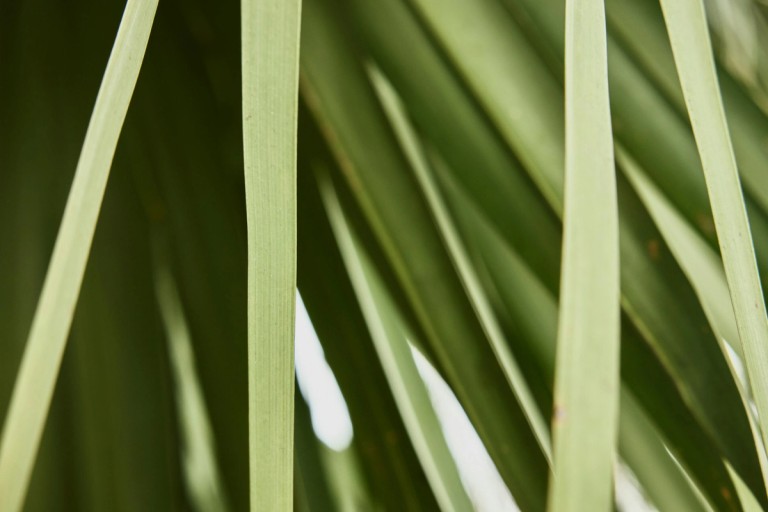 Renewable energy analytics, clean fuels and carbon capture.