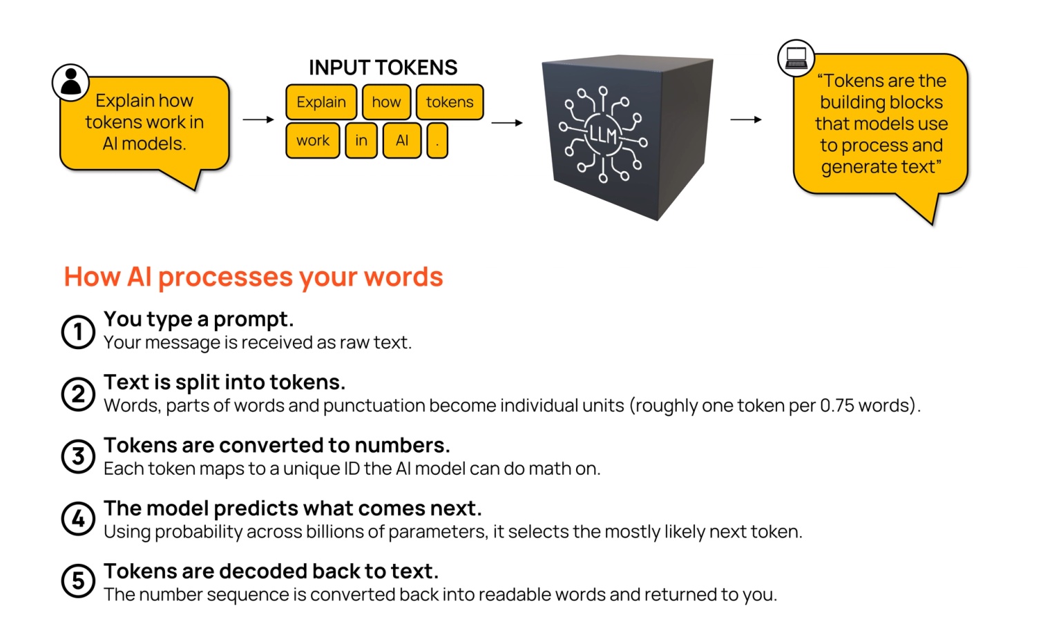 A graphic showing the steps involved for AI to process words