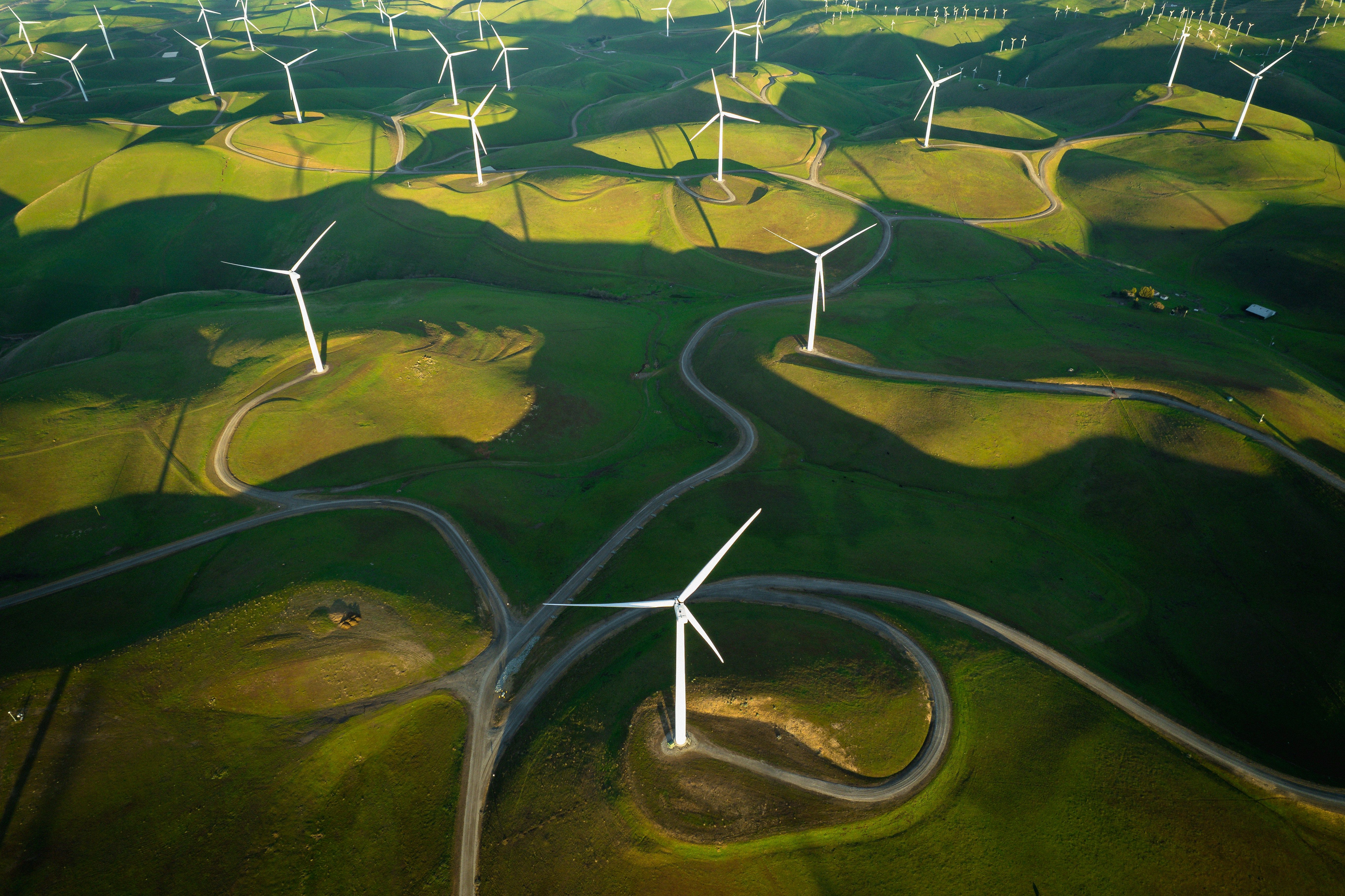 Image of wind turbines in lush green landscape