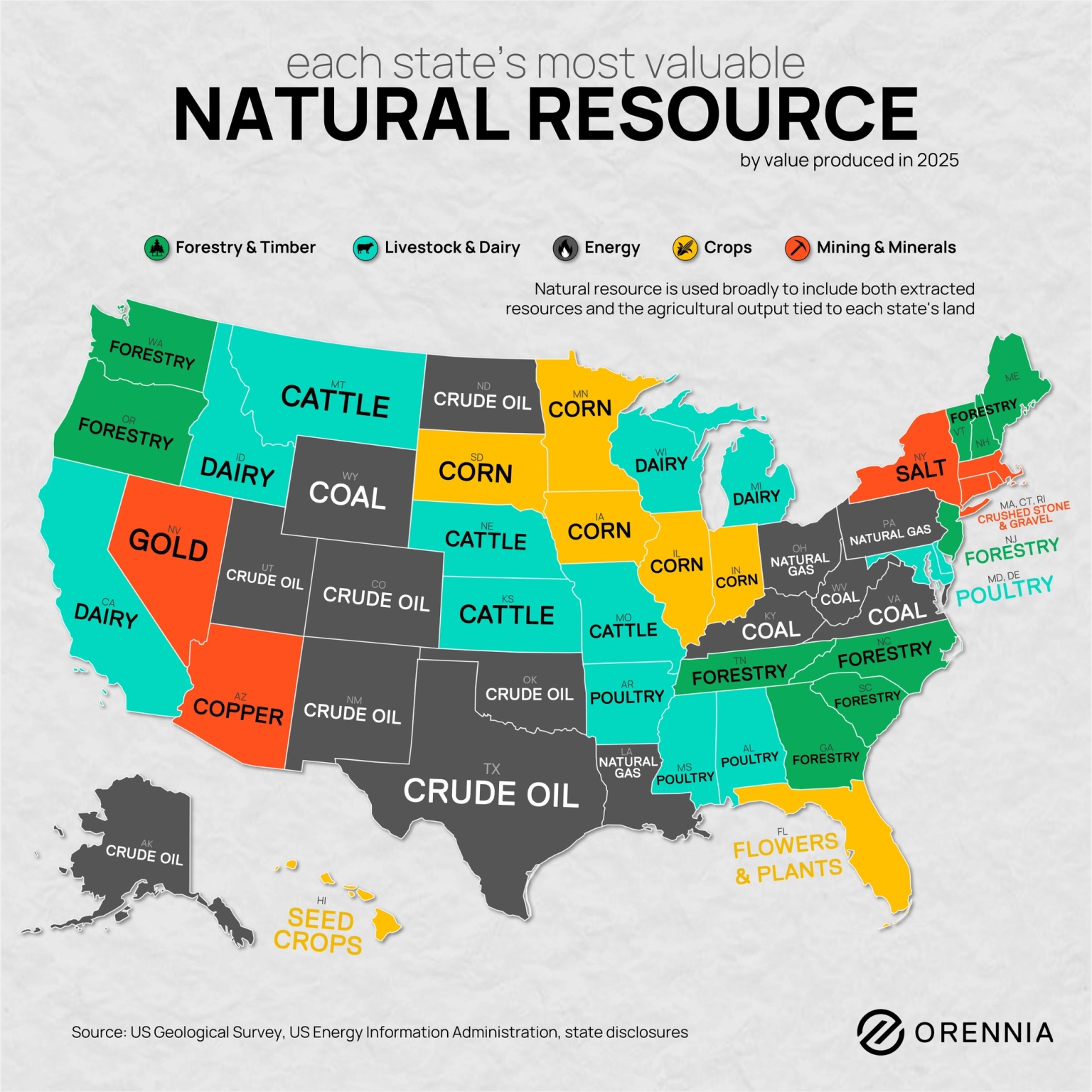 A map of each US state's most valuable resource